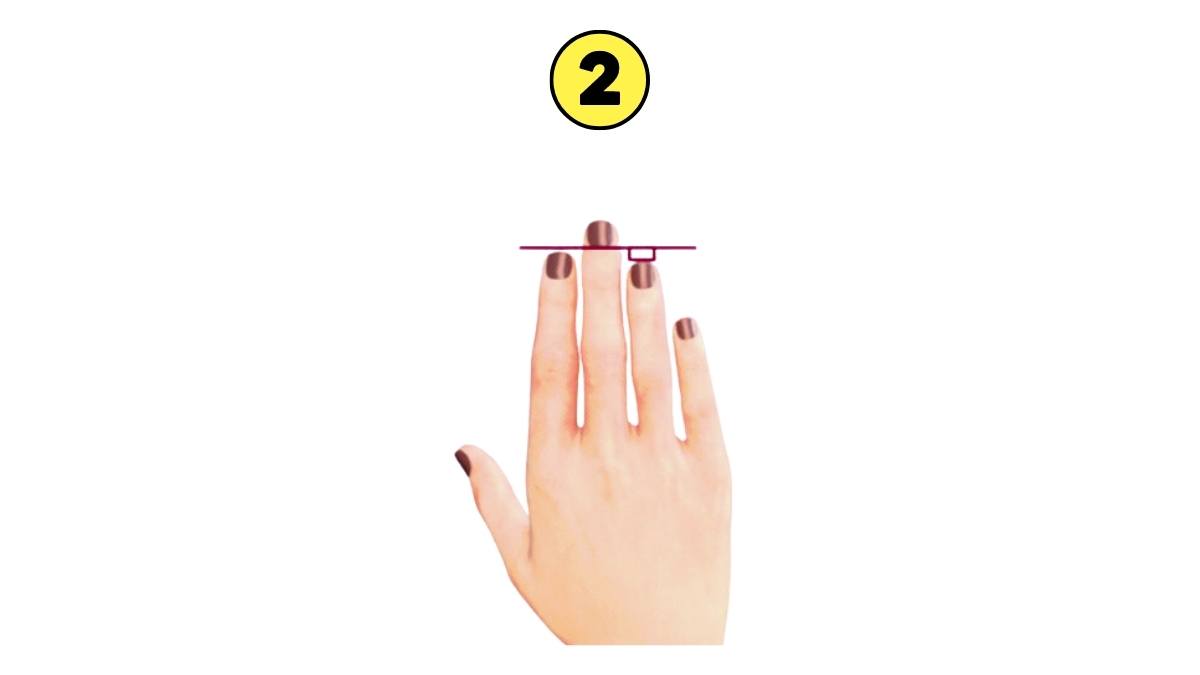 Ring Finger Is Shorter Than Index Finger